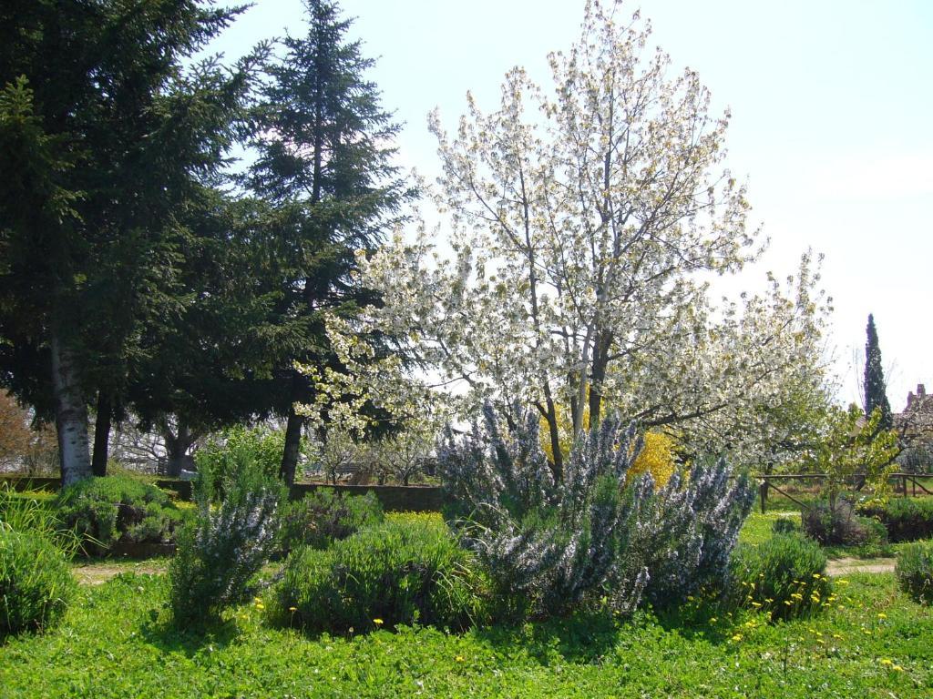 Agriturismo San Giacomo Πιτιλιάνο Εξωτερικό φωτογραφία